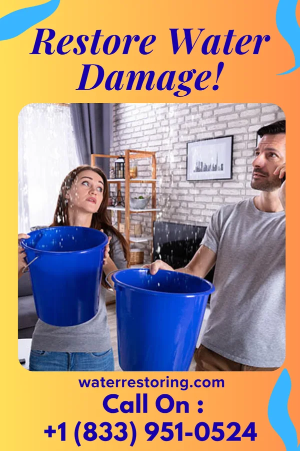 water restoration Express Water Cleanup Professionals Herrick