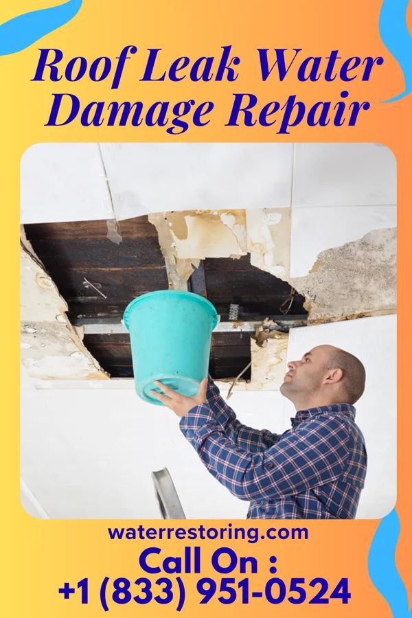 Roof Leak Water Damage Repair in Herrick, SD