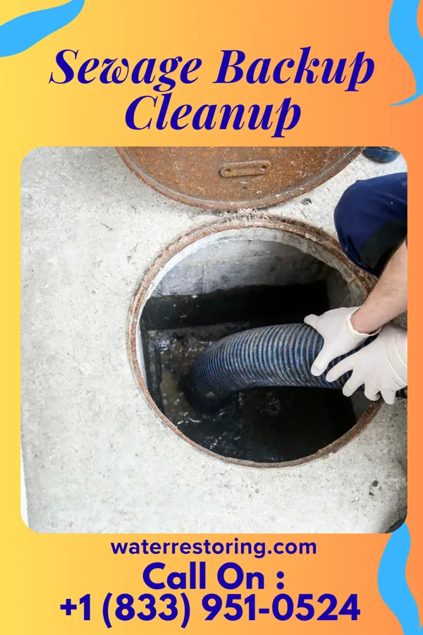Sewage Backup Cleanup in Herrick, SD
